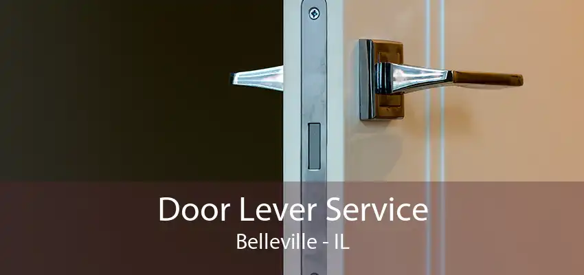 Door Lever Service Belleville - IL